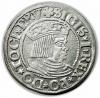 mini: Grosz 1532 Zygmunt I Stary Gdańsk (1)