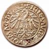 mini: Półgrosz 1547 Zygmunt II August Wilno (2)