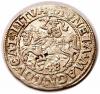 mini: Półgrosz 1548 Zygmunt II August Wilno (1)