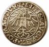 mini: Półgrosz 1549 Zygmunt II August Wilno (2)