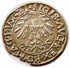 mini: Półgrosz 1556 Zygmunt II August Wilno (2)