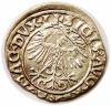 mini: Półgrosz 1556 Zygmunt II August Wilno (2)