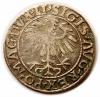mini: Półgrosz 1557 Zygmunt II August Wilno (2)