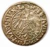 mini: Półgrosz 1558 Zygmunt II August Wilno (2)