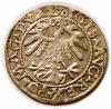 mini: Półgrosz 1559 Zygmunt II August Wilno (2)