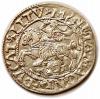 mini: Półgrosz 1561 Zygmunt II August Wilno (1)