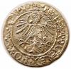 mini: Półgrosz 1561 Zygmunt II August Wilno (2)