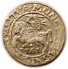 mini: Półgrosz 1561 Zygmunt II August Wilno (1)