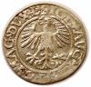 mini: Półgrosz 1561 Zygmunt II August Wilno (2)
