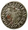 mini: Półgrosz 1556 Zygmunt II August Wilno (2)