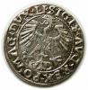 mini: Półgrosz 1556 Zygmunt II August Wilno (2)