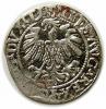 mini: Półgrosz 1559 Zygmunt II August Wilno (2)