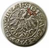 mini: Półgrosz 1560 Zygmunt II August Wilno (2)