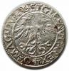 mini: Półgrosz 1562 Zygmunt II August Wilno (2)