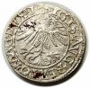 mini: Półgrosz 1562 Zygmunt II August Wilno (2)