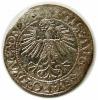 mini: Półgrosz 1562 Zygmunt II August Wilno (2)