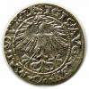 mini: Półgrosz 1563 Zygmunt II August Wilno (2)
