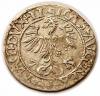 mini: Półgrosz 1561 Zygmunt II August Wilno (2)