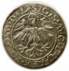 mini: Półgrosz 1564 Zygmunt II August Wilno (2)