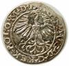 mini: Półgrosz 1564 Zygmunt II August Wilno (2)