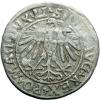 mini: Półgrosz 1547 Zygmunt II August Wilno (2)