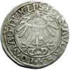 mini: Półgrosz 1557 Zygmunt II August Wilno (2)