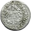 mini: Półgrosz 1559 Zygmunt II August Wilno (2)