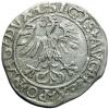 mini: Półgrosz 1561 Zygmunt II August Wilno (2)
