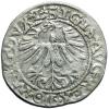mini: Półgrosz 1562 Zygmunt II August Wilno (2)