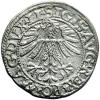 mini: Półgrosz 1562 Zygmunt II August Wilno (2)