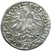 mini: Półgrosz 1563 Zygmunt II August Wilno (2)