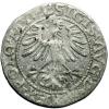 mini: Półgrosz 1564 Zygmunt II August Wilno (2)