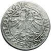 mini: Półgrosz 1564 Zygmunt II August Wilno (2)
