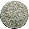 mini: Półgrosz 1565 Zygmunt II August Wilno (2)
