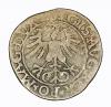 mini: Półgrosz 1561 Zygmunt II August Wilno (2)