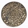 mini: Grosz 1544 Albrecht Hohenzollern Księstwo Pruskie Królewiec (2)