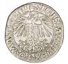 mini: Półgrosz 1548 Zygmunt II August Wilno (2)
