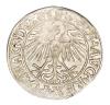 mini: Półgrosz 1548 Zygmunt II August Wilno (2)