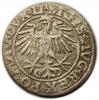 mini: Półgrosz 1551 Zygmunt II August Wilno (2)