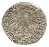 mini: Półgrosz 1561 Zygmunt II August Litwa Wilno (2)