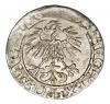 mini: Półgrosz 1561 Zygmunt II August Litwa Wilno (2)