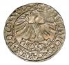 mini: Półgrosz 1565 Zygmunt II August Litwa Wilno (2)