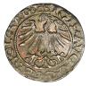 mini: Półgrosz 1565 Zygmunt II August Litwa Wilno (2)