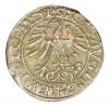 mini: Półgrosz 1565 Zygmunt II August Litwa Wilno (2)