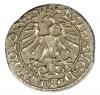 mini: Półgrosz 1565 Zygmunt II August Litwa Wilno (2)