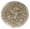 mini: Półgrosz 1565 Zygmunt II August Litwa Wilno (2)