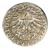 mini: Półgrosz 1565 Zygmunt II August Litwa Wilno (2)