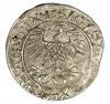 mini: Półgrosz 1561 Zygmunt II August Litwa Wilno (2)