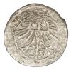 mini: Półgrosz 1564 Zygmunt II August Litwa Wilno (2)
