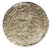 mini: Półgrosz 1564 Zygmunt II August Litwa Wilno (2)